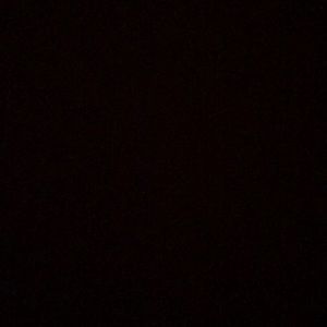 Meet your Posher, Bella